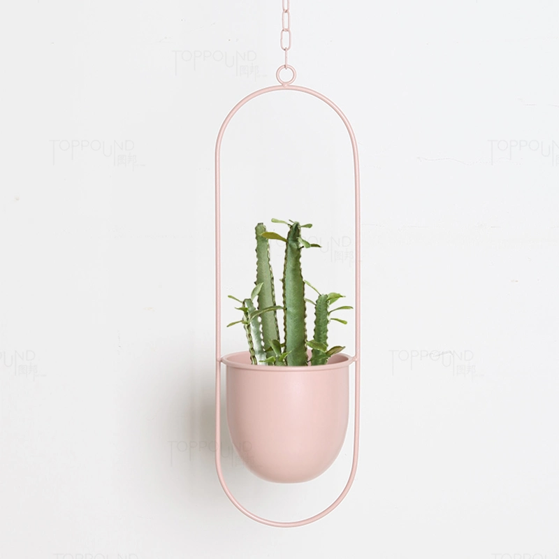 Hanging Planters for Indoor & Outdoor Plant with 6" Pot (Detachable) + Hook Hanging Plant Holder, Plant Hanger, MID Century & Minimalist Planter Modern Home