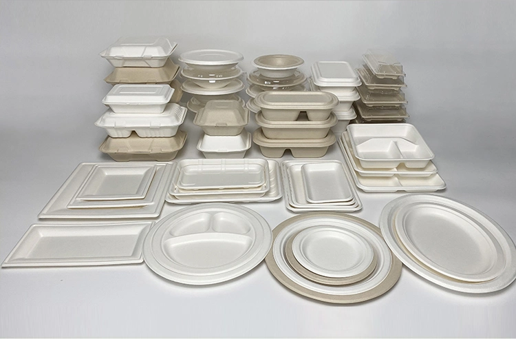 Wholesale Disposable Sugarcane Bagasse Fruit and Vegetable Tray Biodegradable Rectangular Sushi Plates