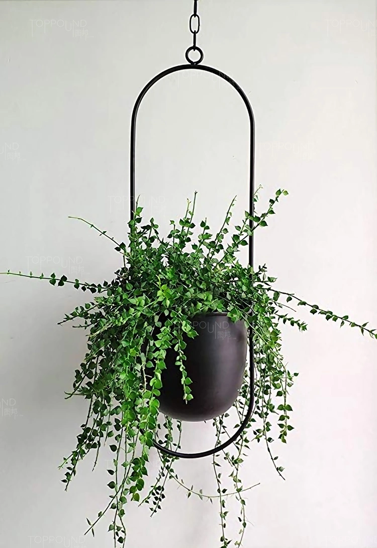 Hanging Planters for Indoor & Outdoor Plant with 6" Pot (Detachable) + Hook Hanging Plant Holder, Plant Hanger, MID Century & Minimalist Planter Modern Home